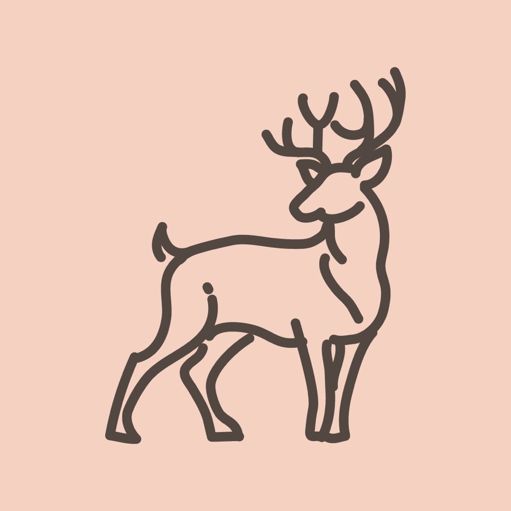 Meet your Posher, Ariel